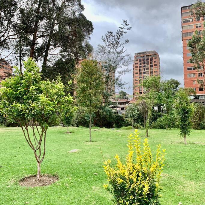 Urban Andes Retreat Lägenhet Cuenca Exteriör bild